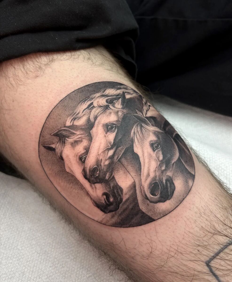 Black and grey illustrative calf, three horse heads in circular composition
